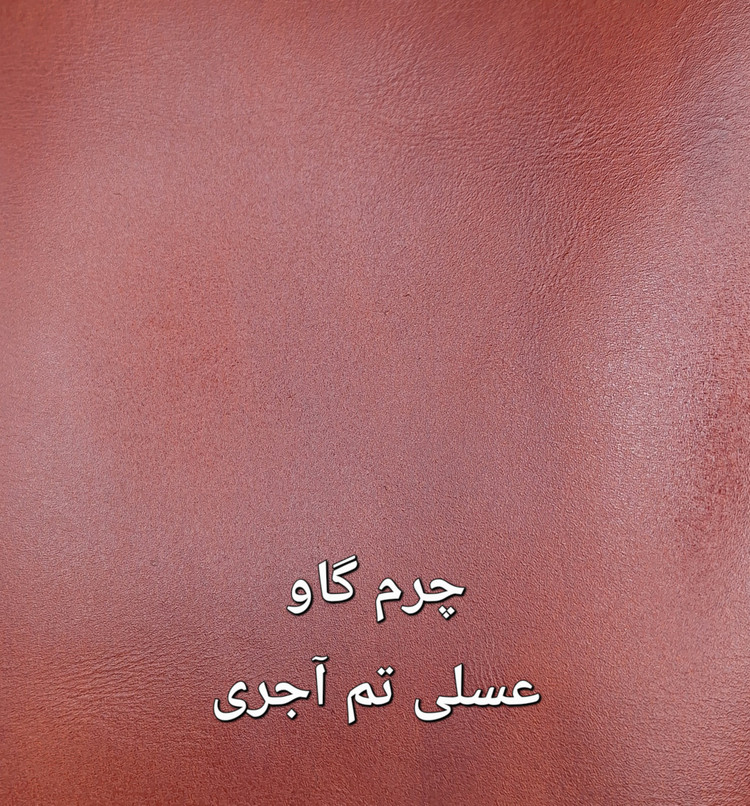 جاکلیدی چرم طبیعی طرح جلیقه با شش جای کلید
